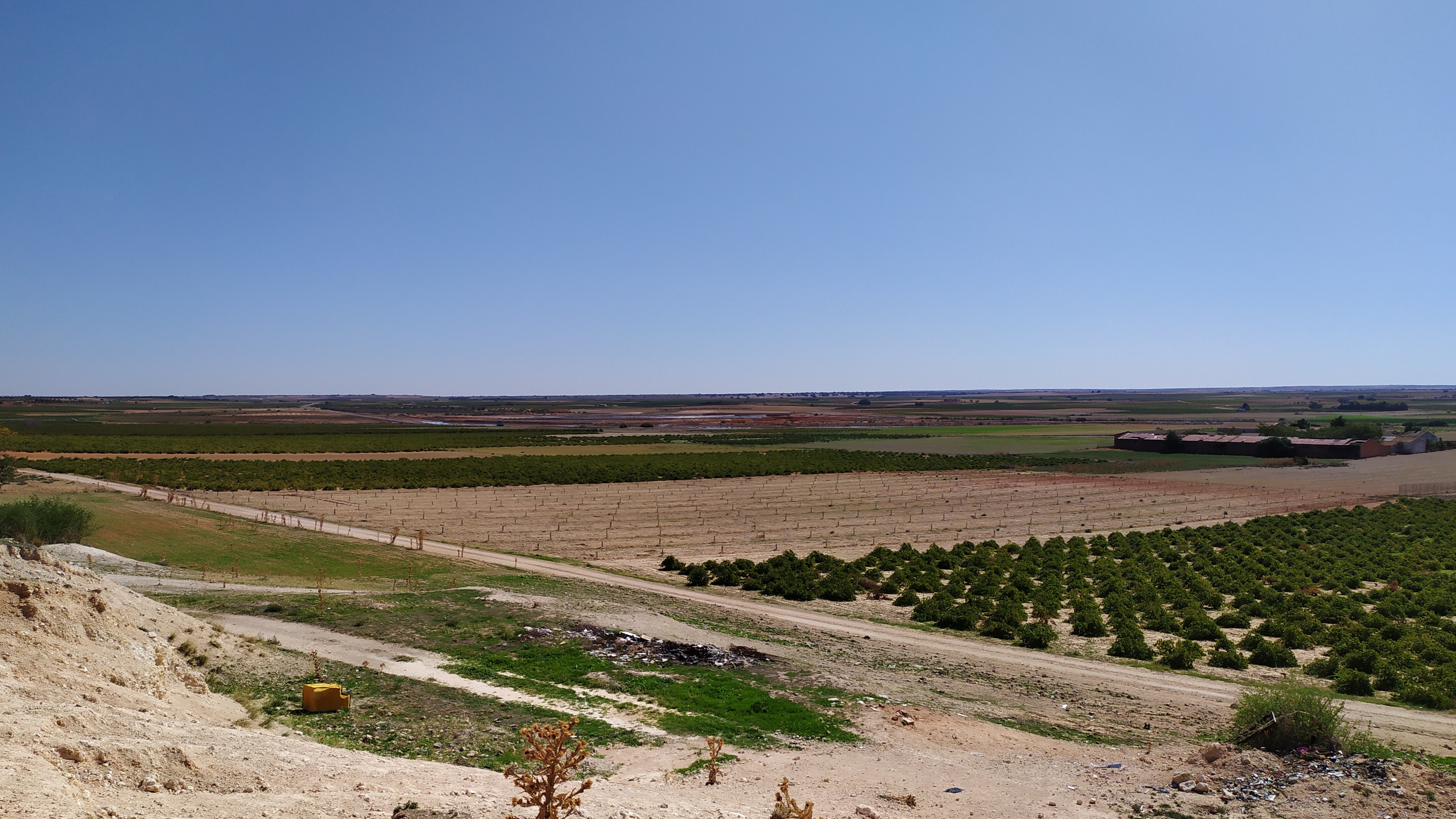 Vista de los viñedos